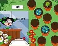 The florist game csajos játékok