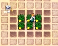 Virtual farm online csajos játék